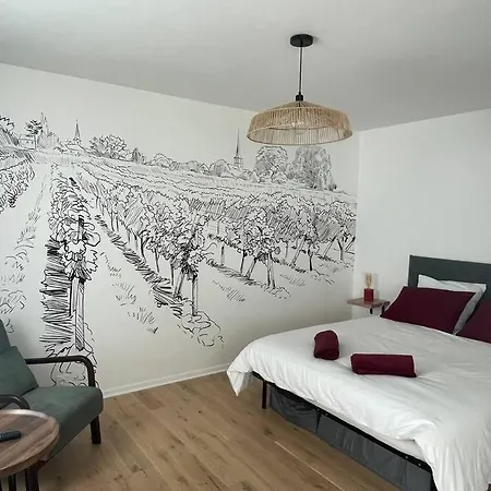 Appartement Le Pinot Noiir - Centre Et Gare A 5 Min *