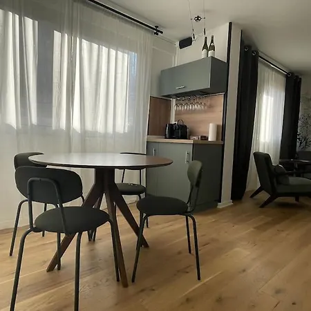 Appartement Le Pinot Noiir - Centre Et Gare A 5 Min Dijon