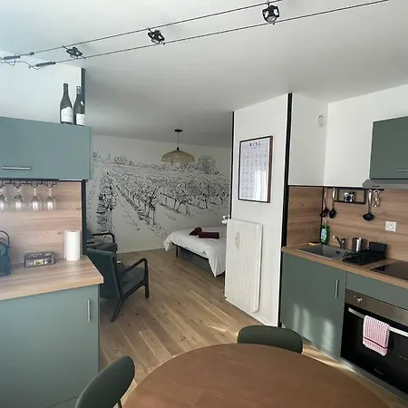 Le Pinot Noiir - Centre Et Gare A 5 Min Appartement *